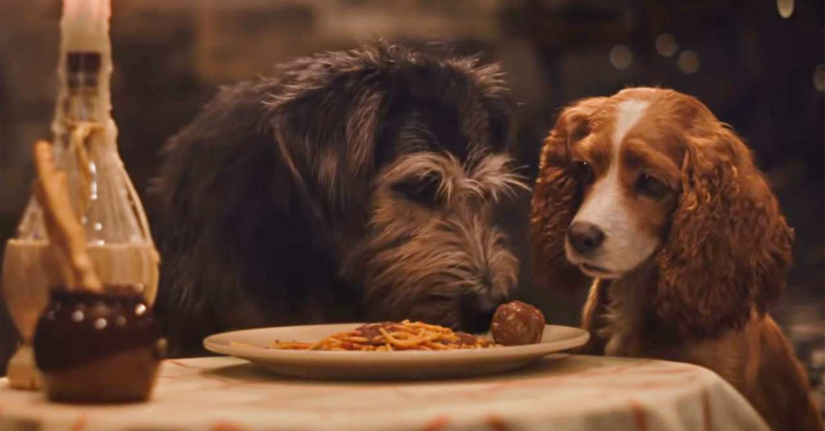 Cena clássica de “A Dama e o Vagabundo” é recriada em novo trailer; assista!