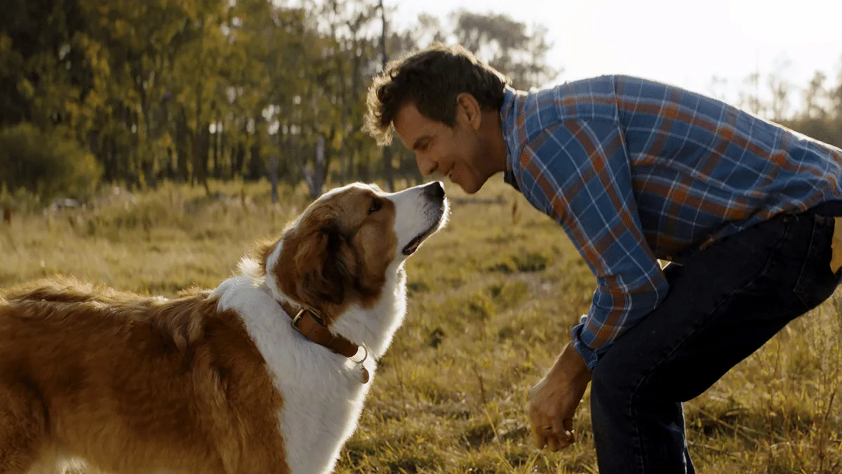 Globo exibe “Juntos Para Sempre” no Temperatura Máxima